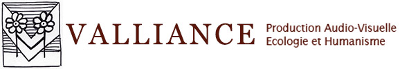 Valliance Prod Logo