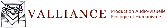 Valliance Prod Logo